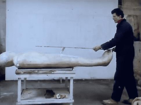 最极致的体型,世界最高身材