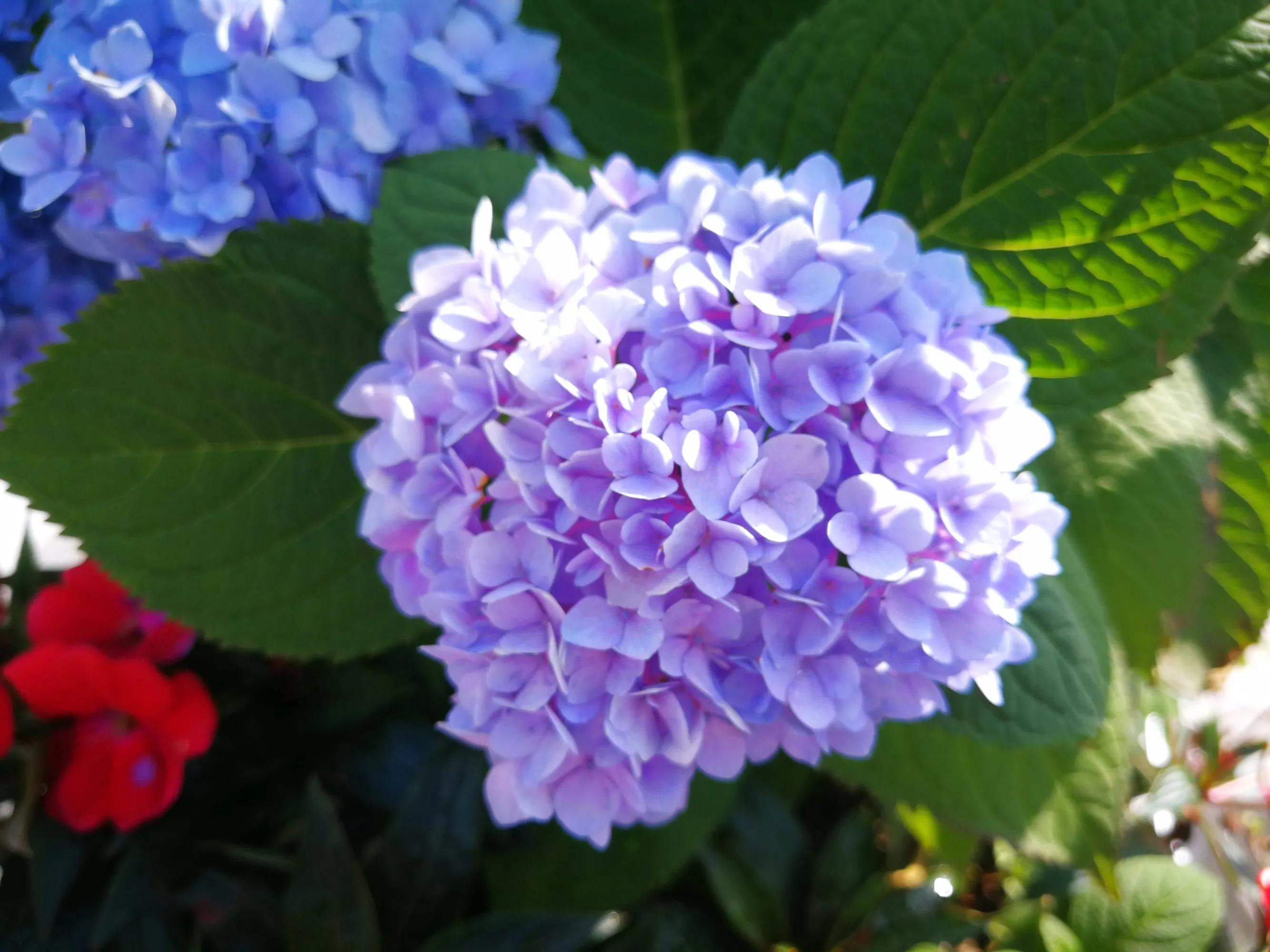 100种迷人的“数字花”,从零到一百万,真是太神奇了