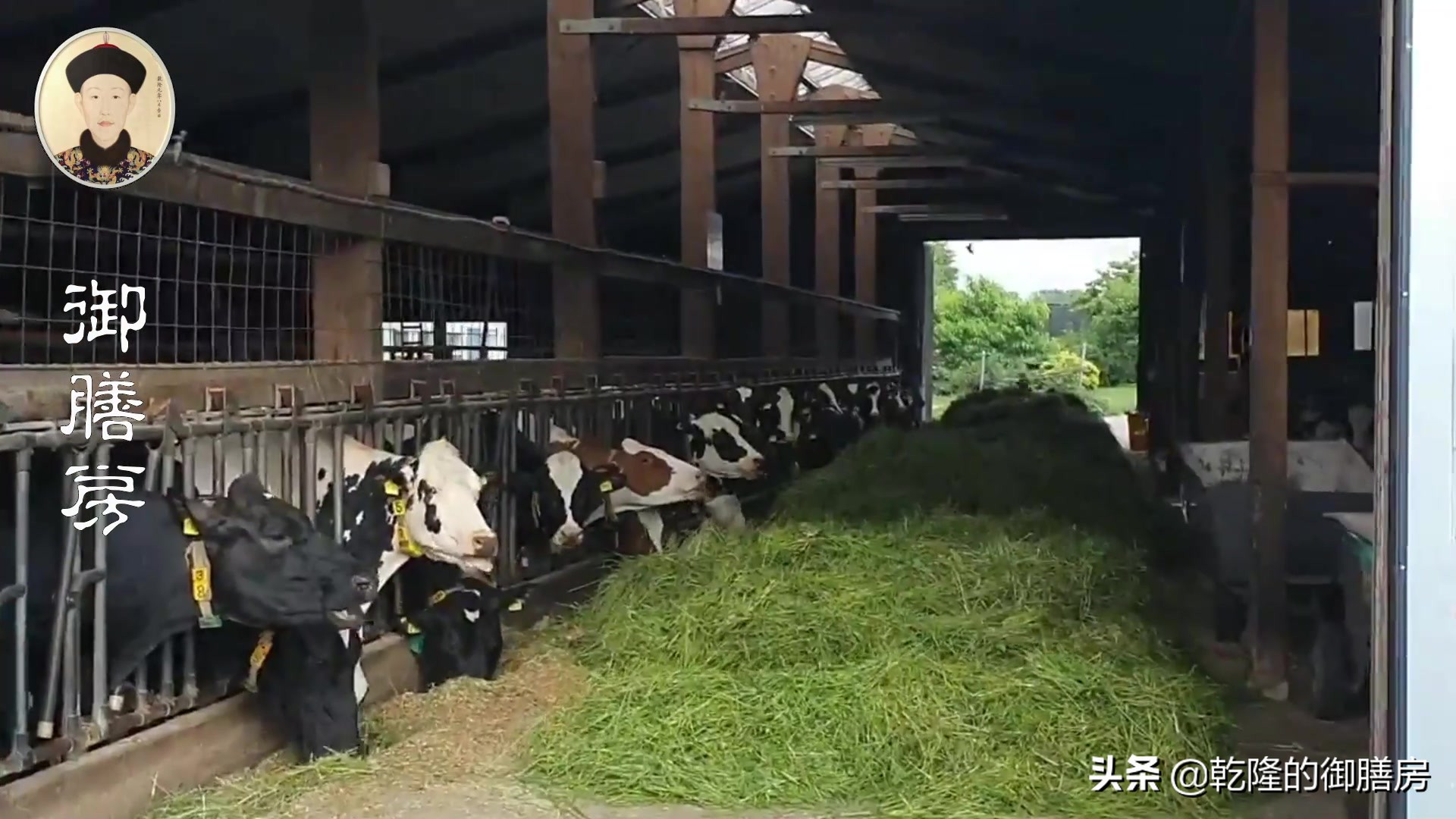 全世界牛奶品牌排名,全球最大的牛奶出口国