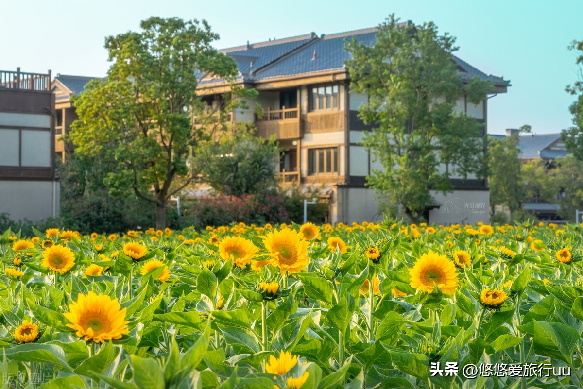 无锡旅游景点最值得去的地方,无锡市旅游必去十大景点有哪些