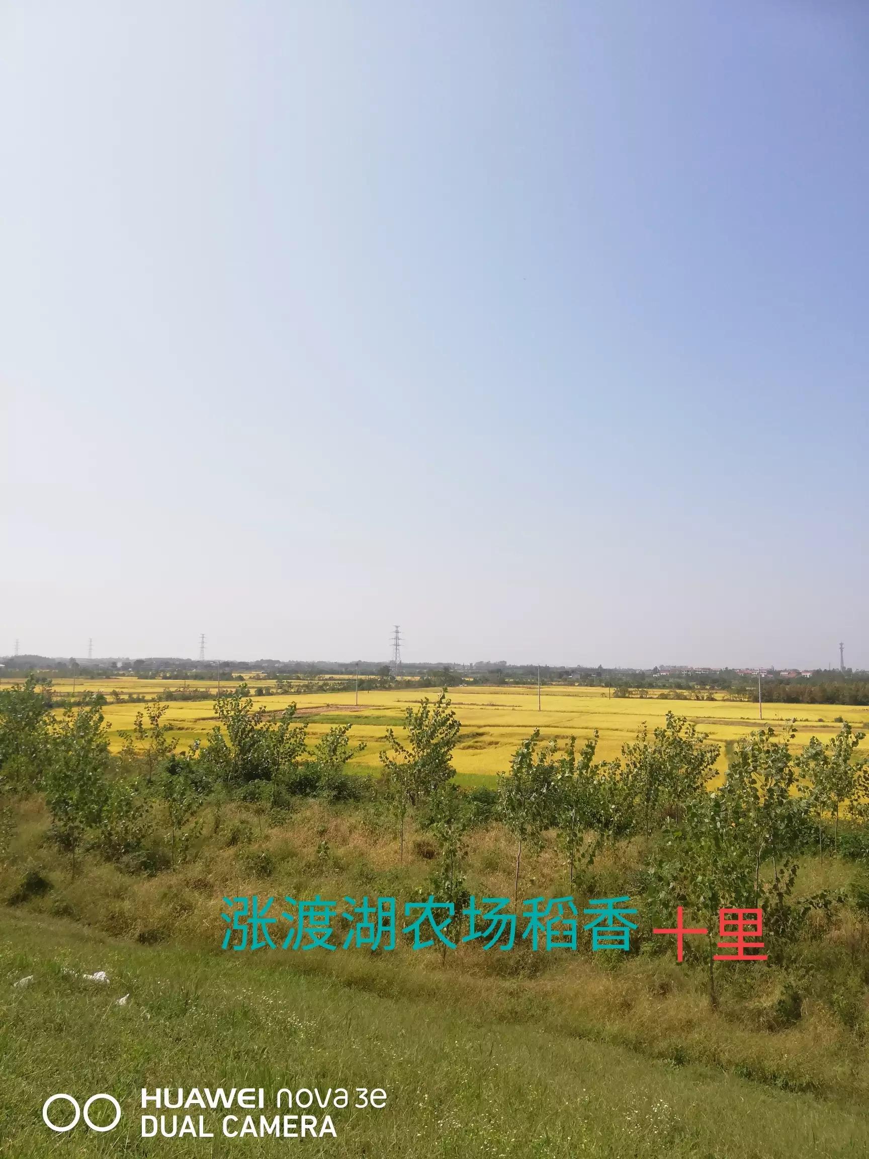 团风地图,团风县属于哪