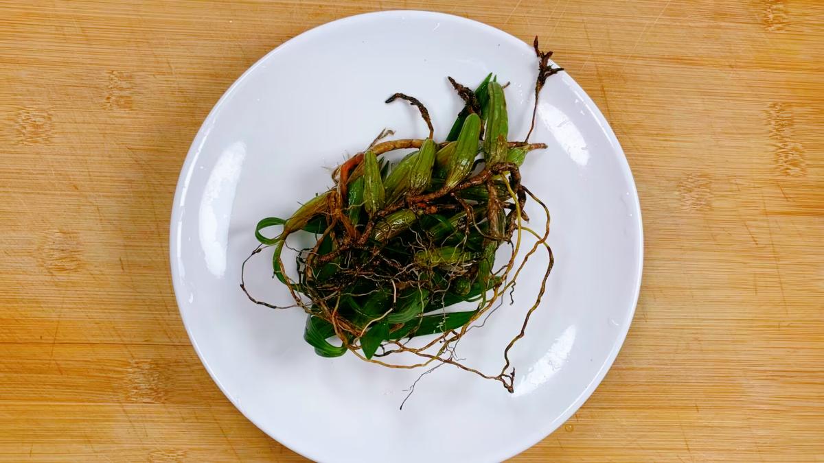 清肺润喉化痰止咳的汤大人,润肺止咳化痰喝它就对了