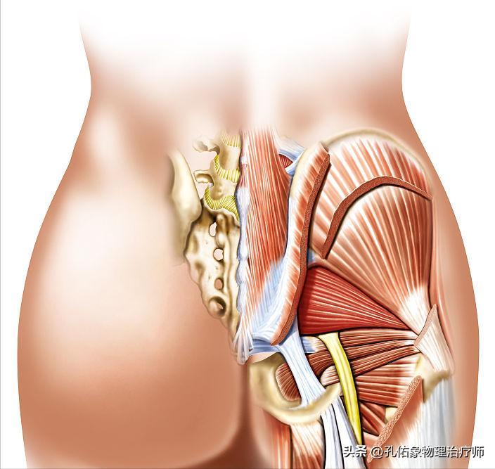 屁股疼是腰突导致的吗,屁股酸痛什么预兆