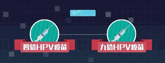男性要打hpv疫苗吗多少钱,男的需要打hpv九价么