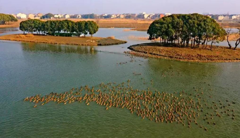 历史上著名女性人物秋瑾,秋瑾巾帼英雄故事