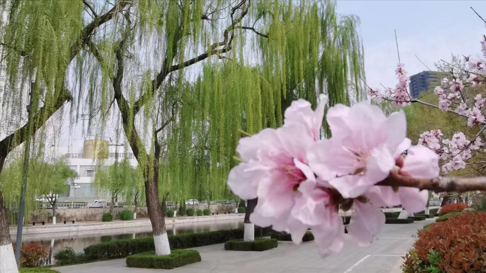 记录生活你笑起来真好看,记录我退休后的每一天生活