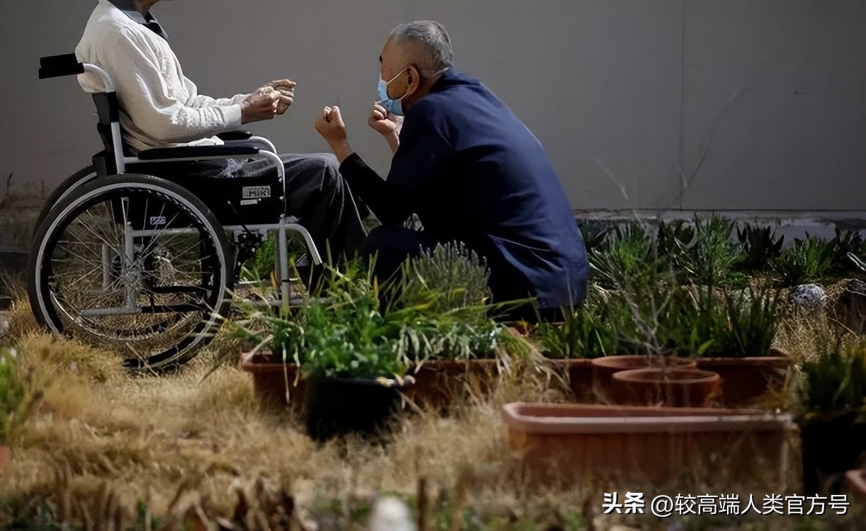 日本老人为什么故意进监狱,日本老人如何坐牢