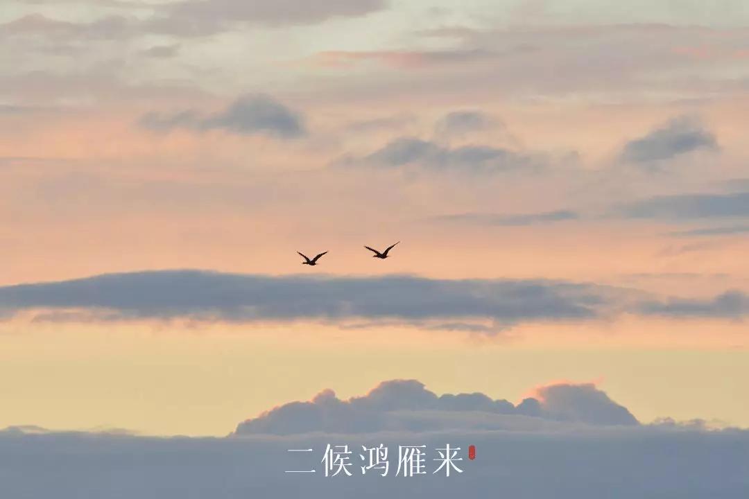 雨水哲理,雨水的好句