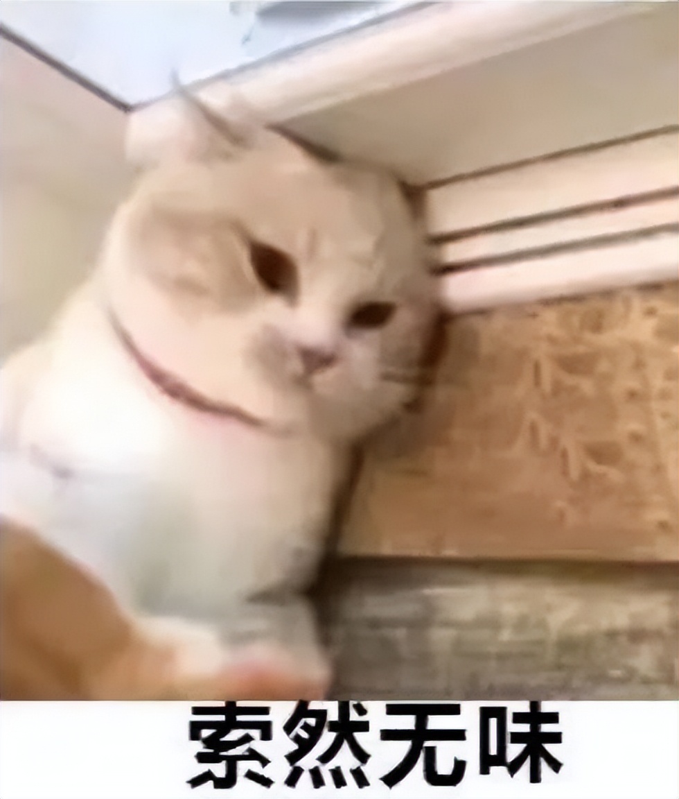 steam夏促2021值得入手的大作免费,steam冬季大促2022大作必买