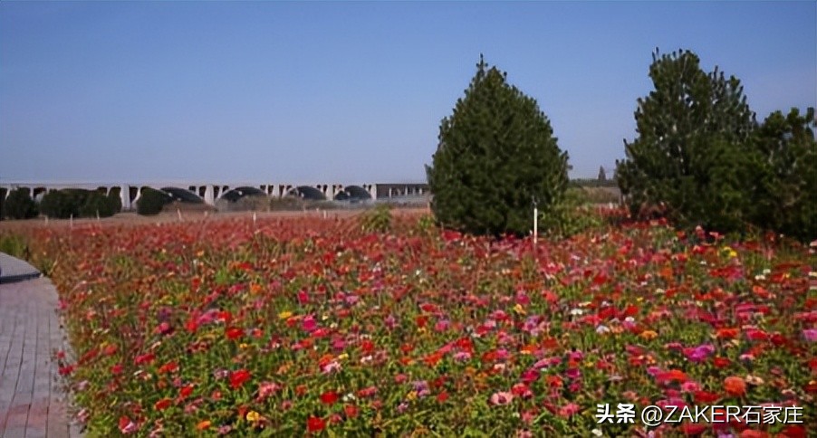 石家庄早新闻,早新闻完整内容