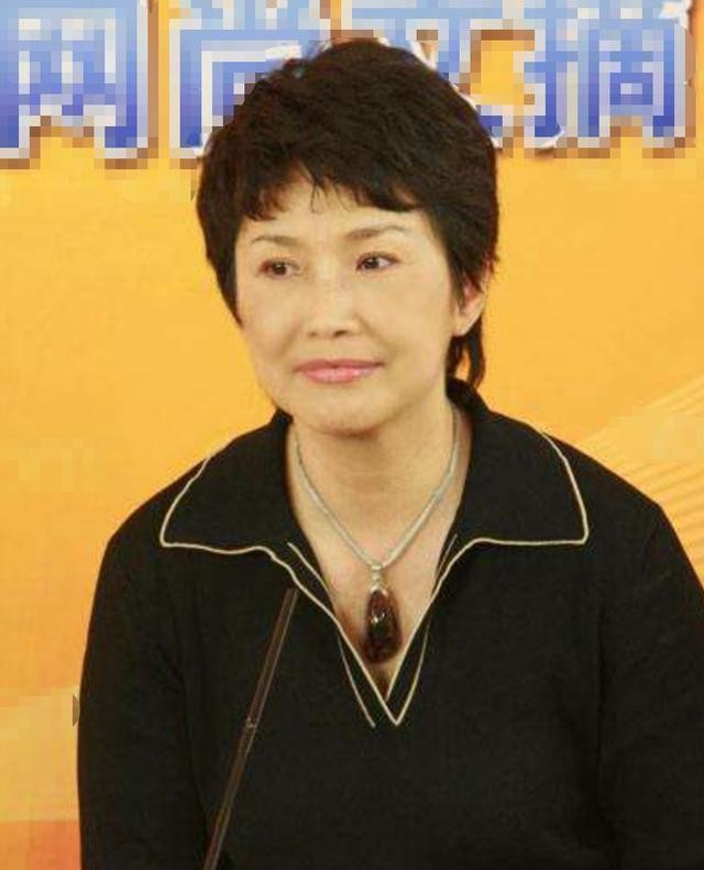 宁辛还在央视吗,主持人宁辛个人简介