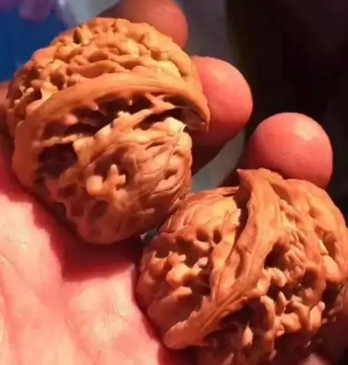 文玩核桃缝隙里黑色怎么清理,文玩核桃掉水里了可以用吹风机吗