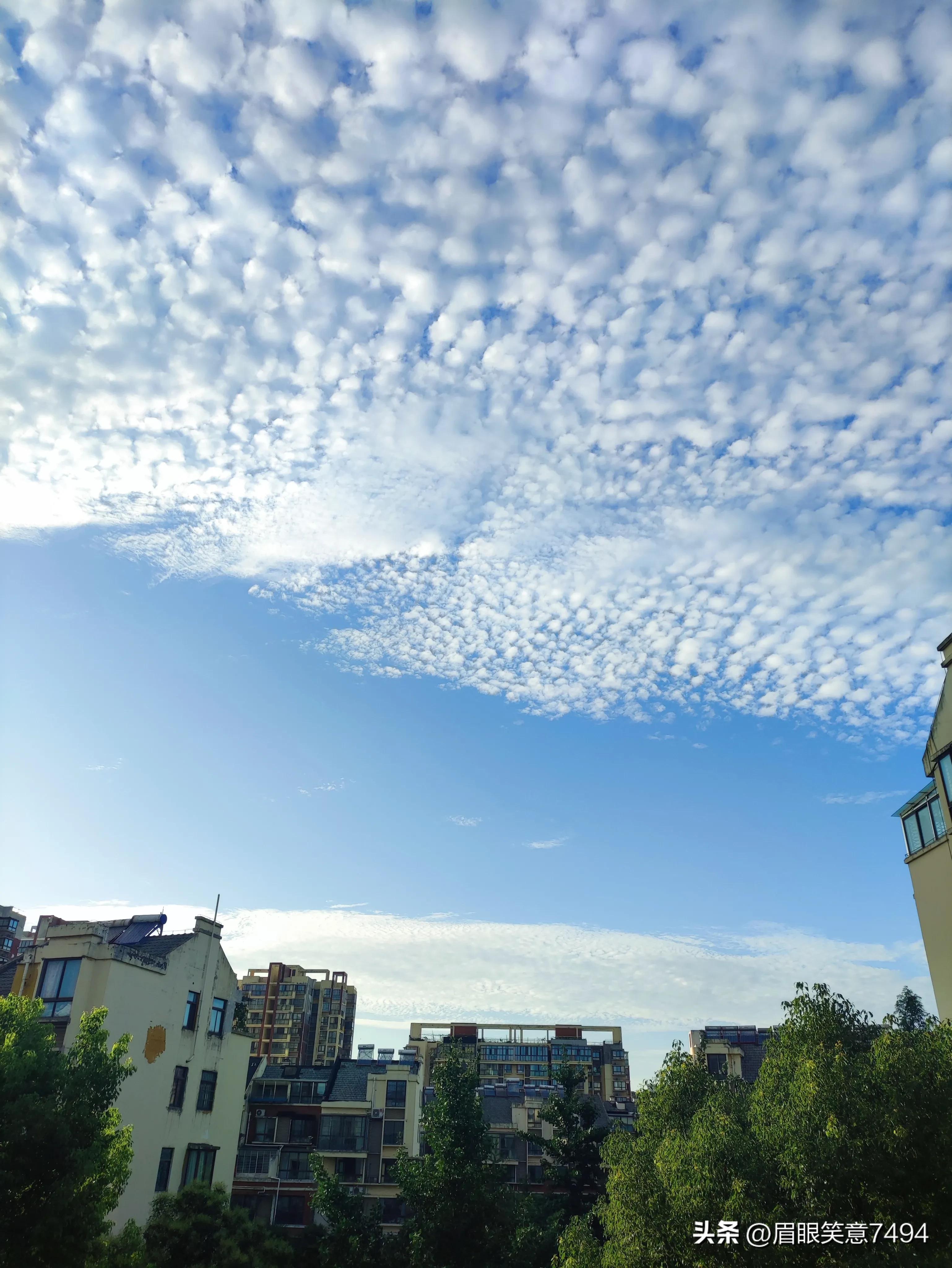 蓝色和绿色一定是上天选的治愈色,能治愈的蓝色和绿色