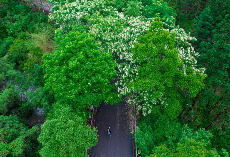 温州秋天的景,温州的秋天
