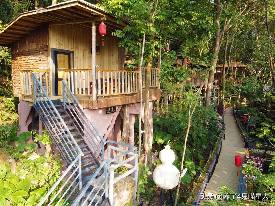 英德野渡谷轻奢民宿,清远住在山里的民宿