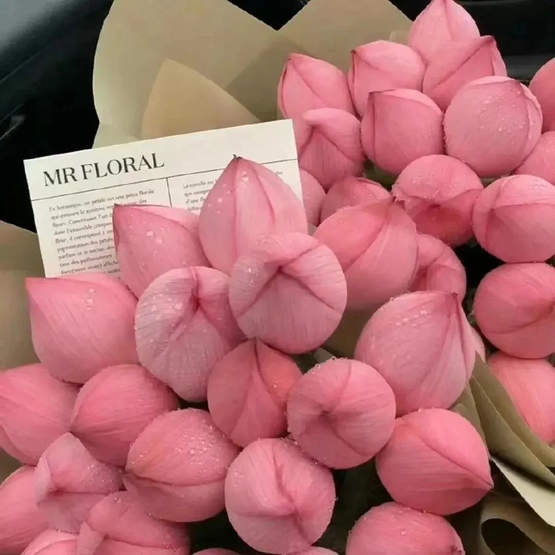 氛围感背景图照片,氛围感微信背景图高清风景