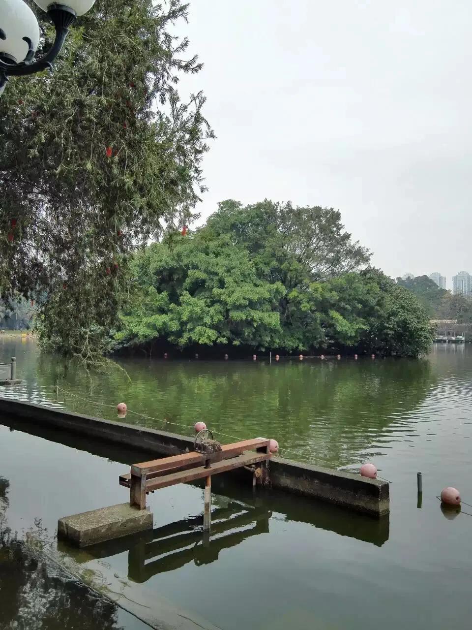 深圳美景荔枝公园,荔枝公园位于福田和罗湖交汇处