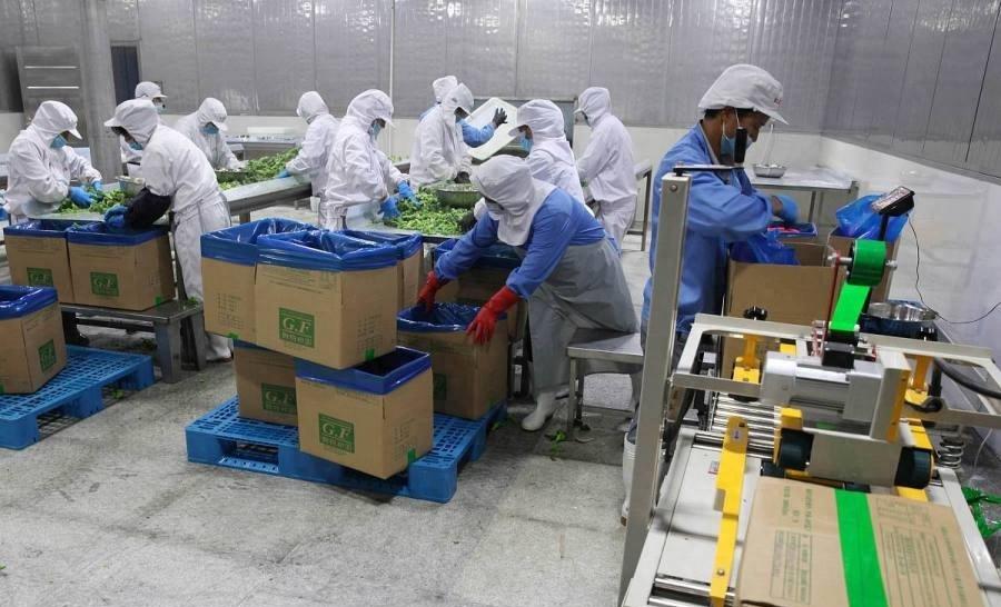 红日药业：医药巨头的创新力量，投资致胜的最佳选择