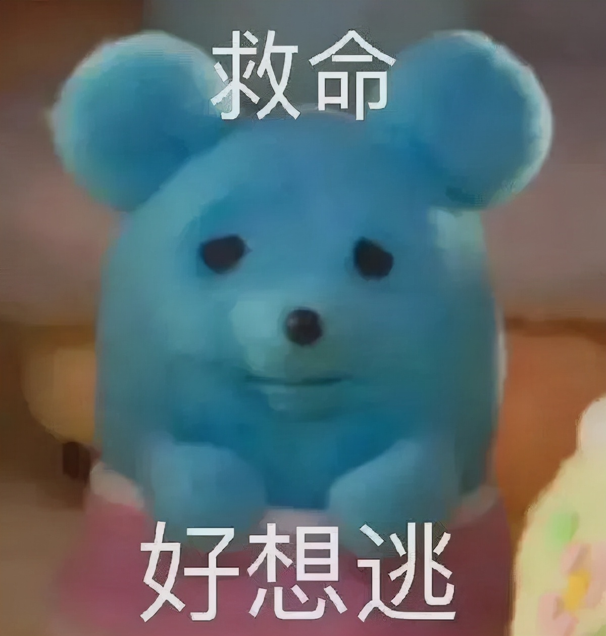 花1.4万吃了顿午饭后，全国人民都知道我了哈哈哈哈