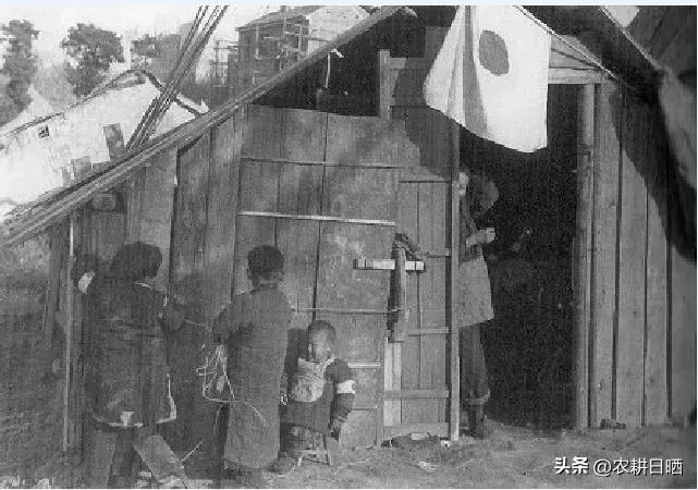 1937年南京杀日本人,日军在南京杀孕妇女孩惨案