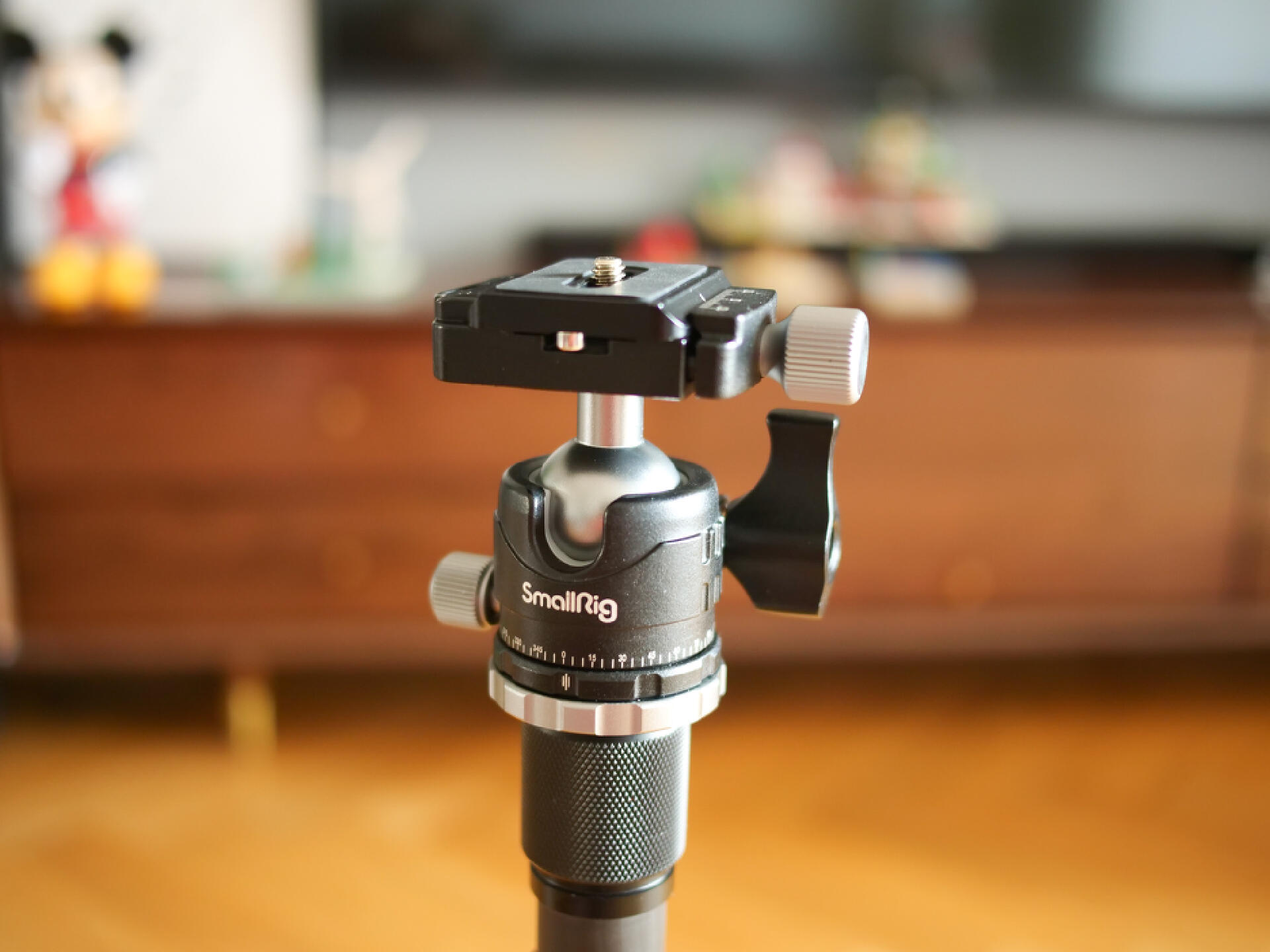 有好的摄影器材就能拍出好照片,适合新手拍摄的摄影器材