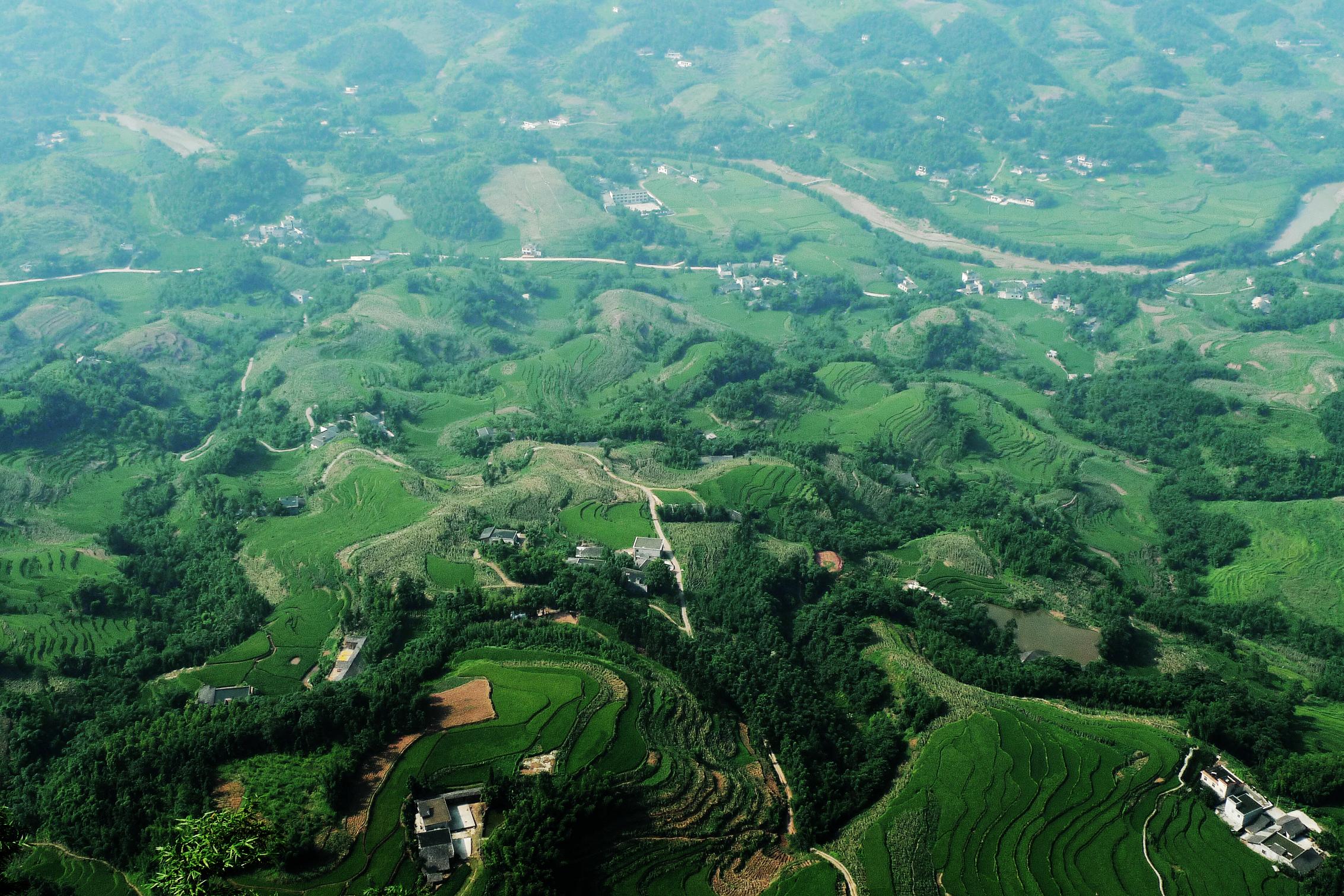 卧虎藏龙竹林拍摄地在蜀南竹海吗,卧虎藏龙取景地蜀南竹海吊威亚