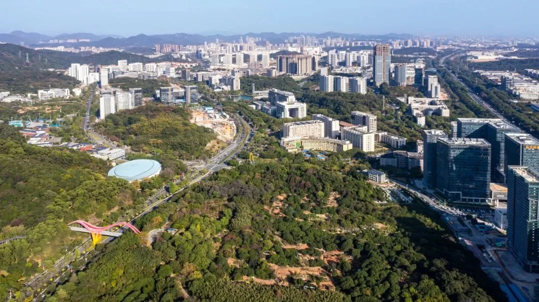 “双高”同步新模式！黄埔区这样招商！