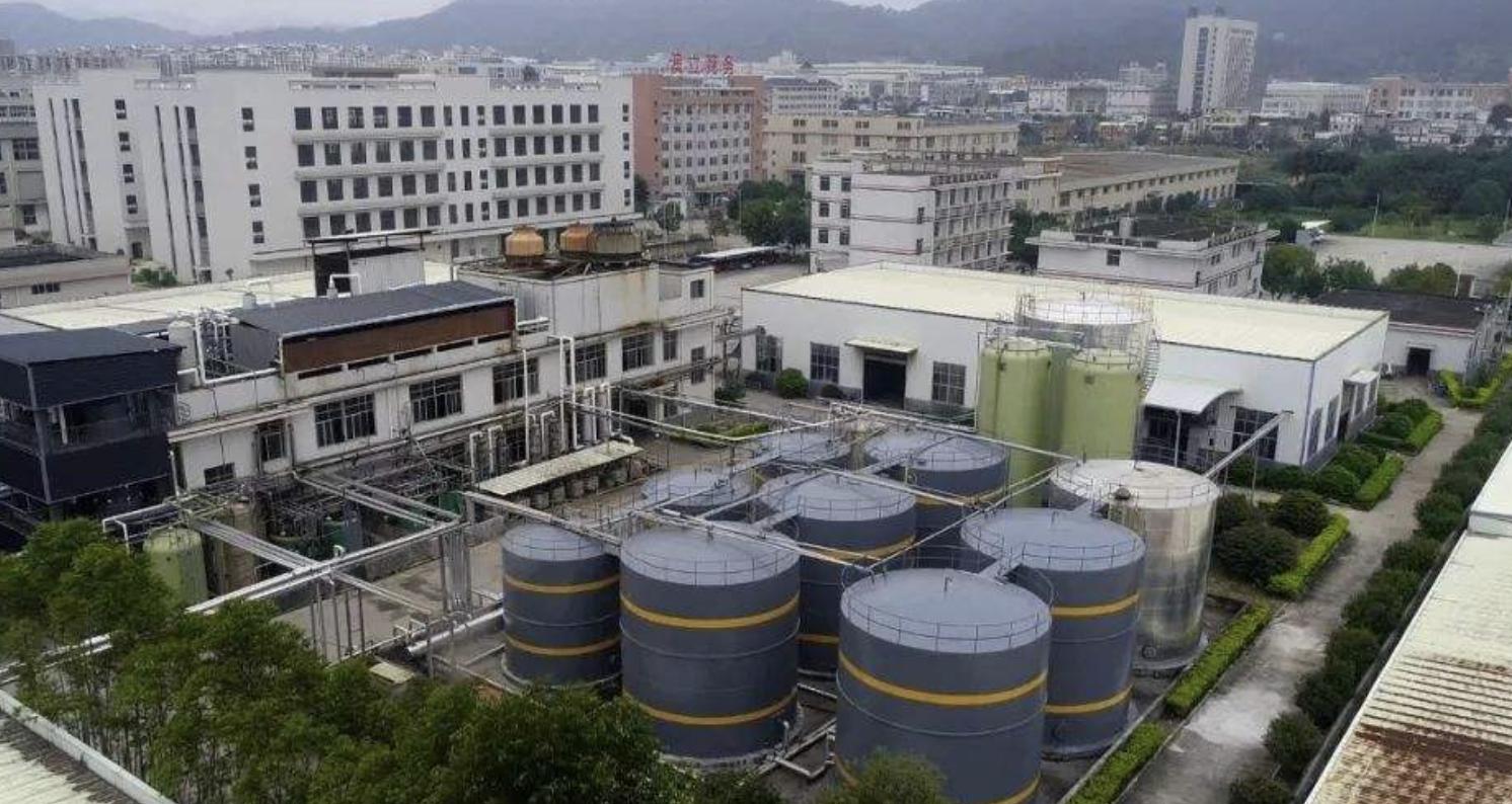 福建漳州十大富豪,漳州白手起家的首富前十名