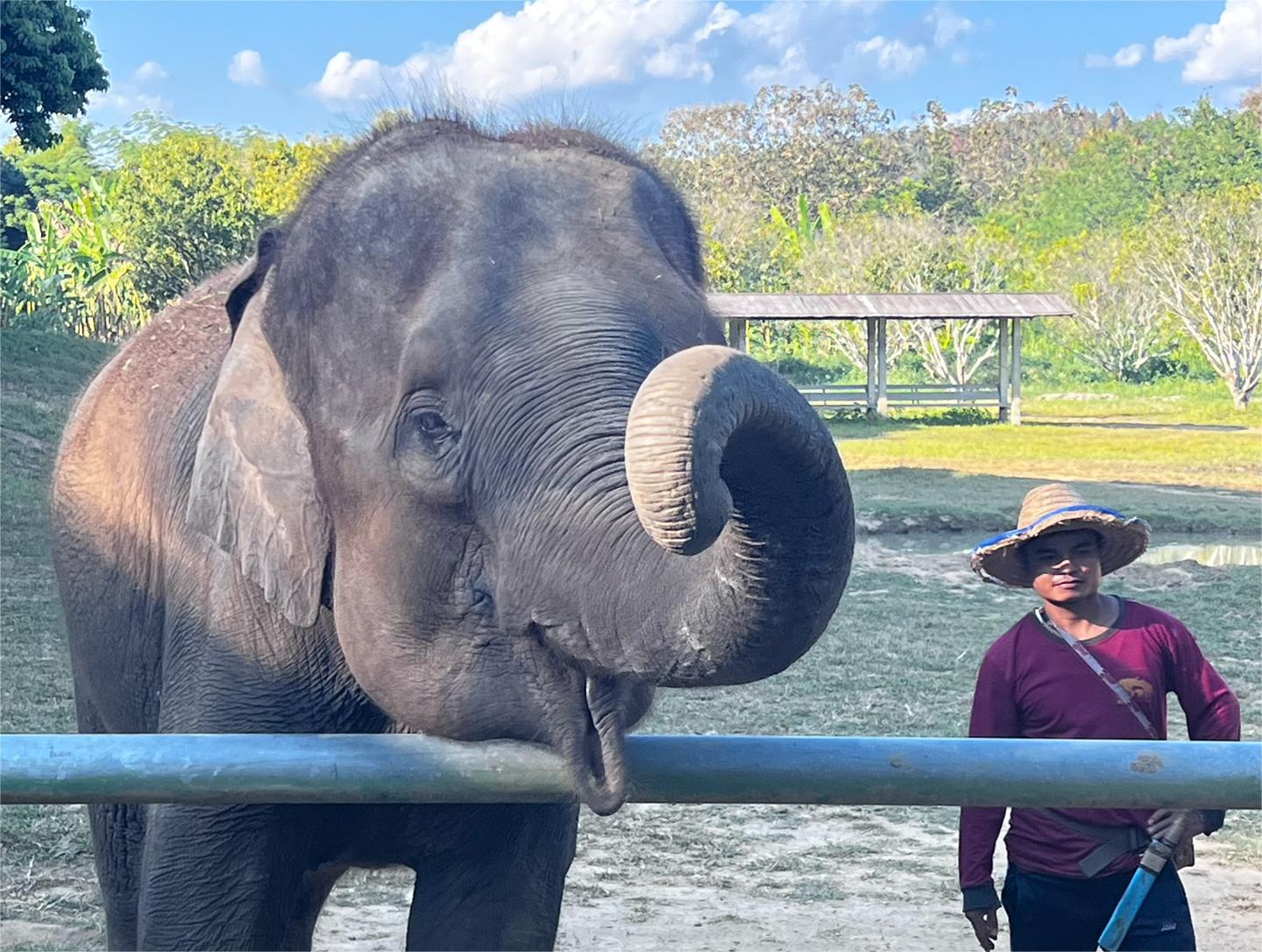 拿到泰国国籍的好处,申请了泰国国籍有什么优惠