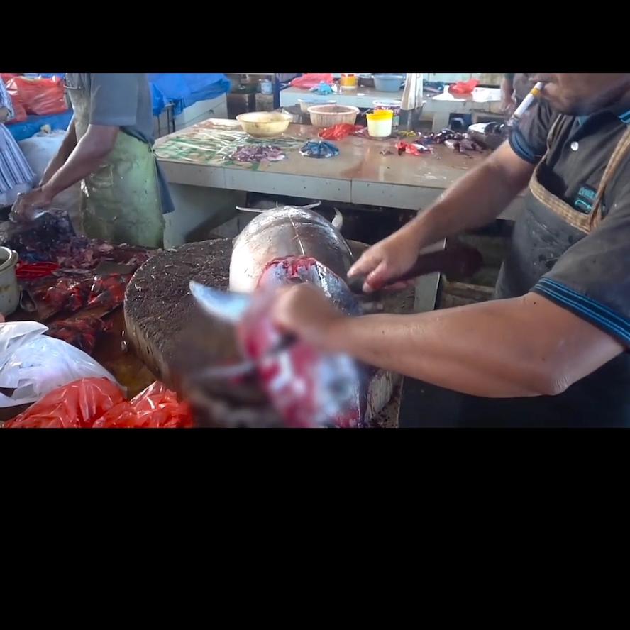 娴烽矞甯傚満楸艰揣,娴烽矞甯傚満娲婚奔鐜板