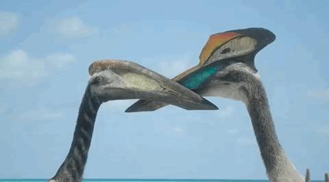 9.3涨到9.5，大神一出手，全网高潮！