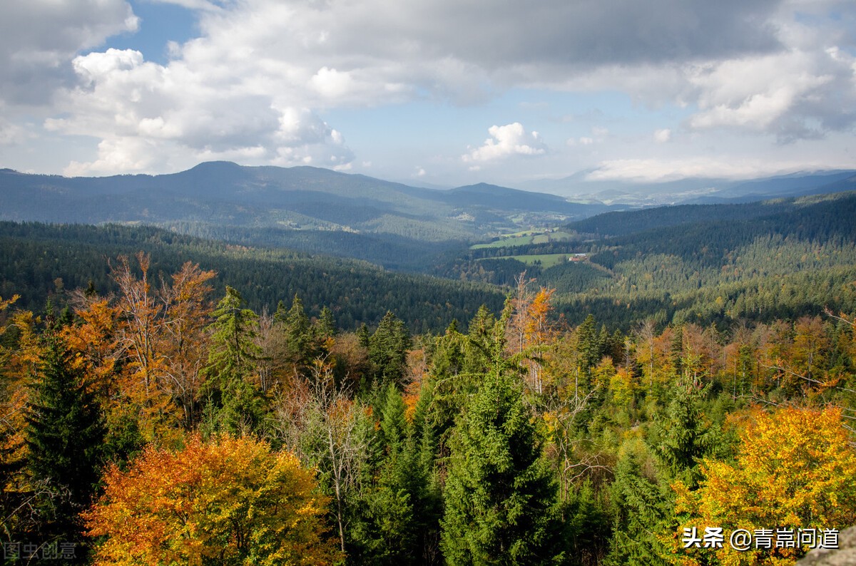怎么才能融入新社会,更好地融入社会