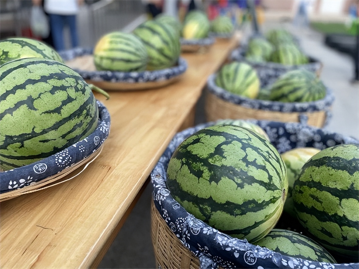 鍚堣偉甯傚惎鏄庢槦骞兼暀闆嗗洟鎬诲洯,骞煎効鍥冻鐞冩椿鍔ㄧ柉鐙傜殑瓒崇悆