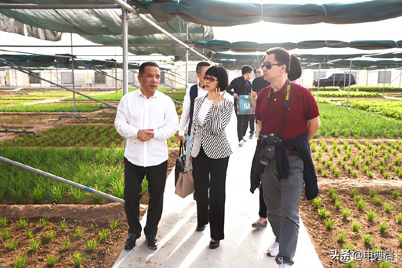 温州超市海外发展史：从杂货铺到大集团，中国人的勤劳、胆魄