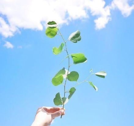 成年人的个性签名,成熟内涵,人人点赞!