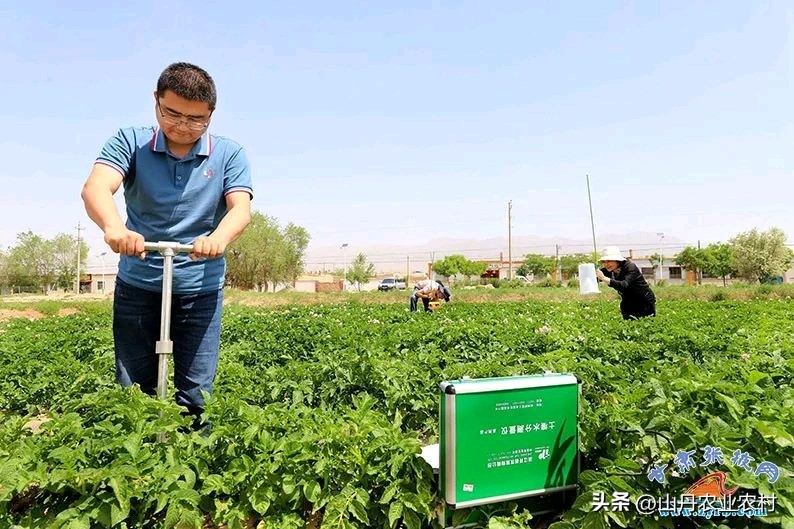 一县一业发展马铃薯产业,马铃薯农业产业园