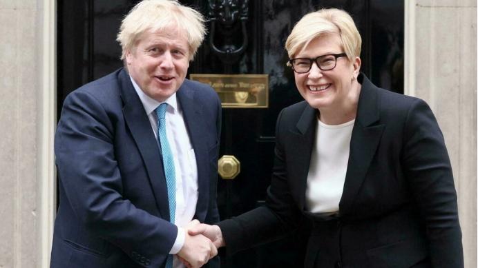 中国会对立陶宛采取哪些措施,如何看待立陶宛邀请美国驻军