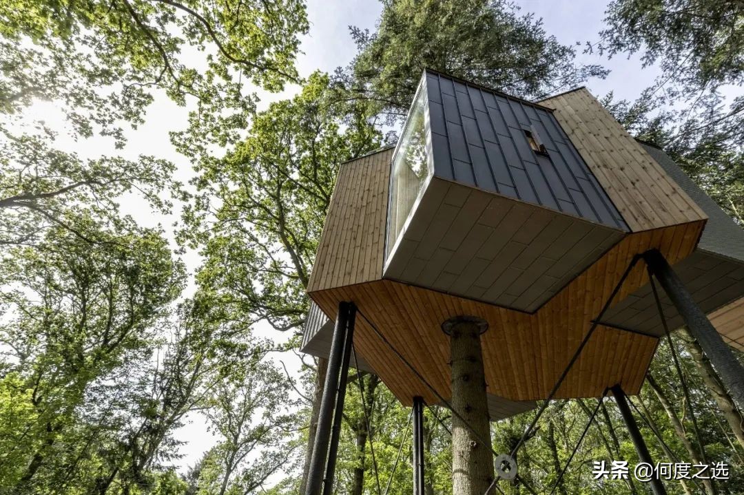 森林里的“树屋”：丹麦森林中建造的酒店，美到让人窒息