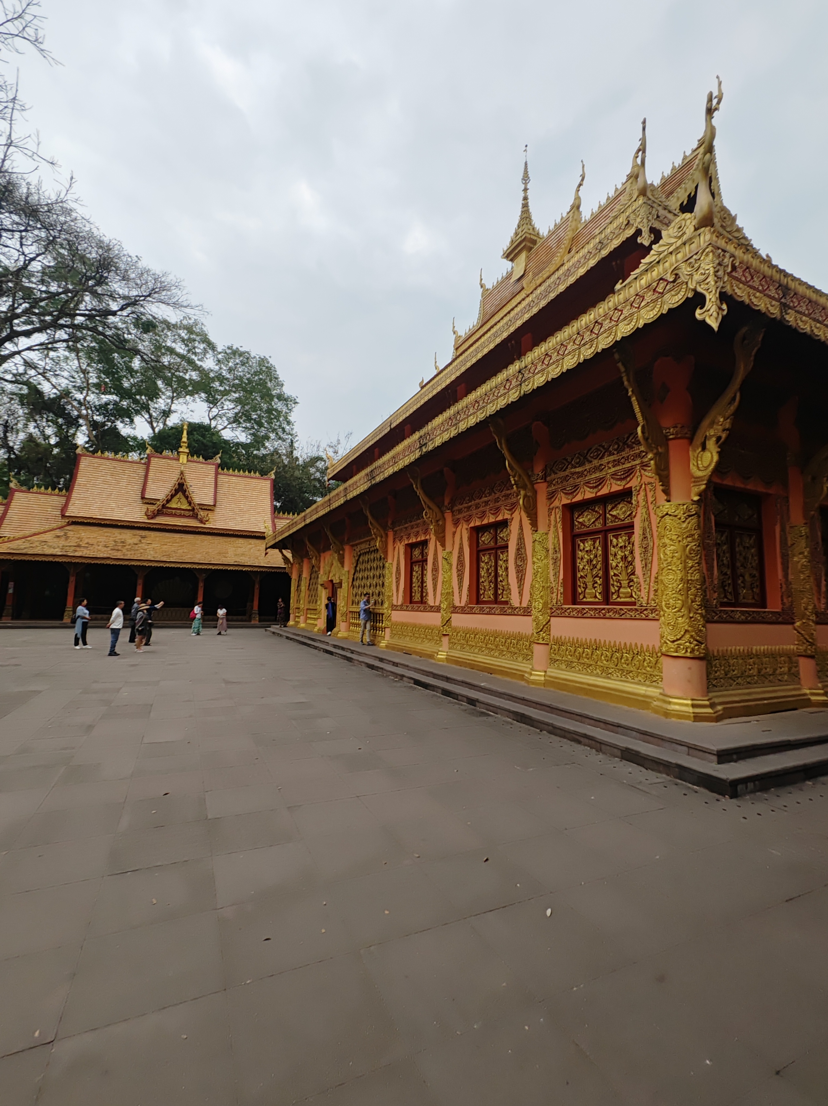 西双版纳曼听园攻略,云南西双版纳打卡曼听公园