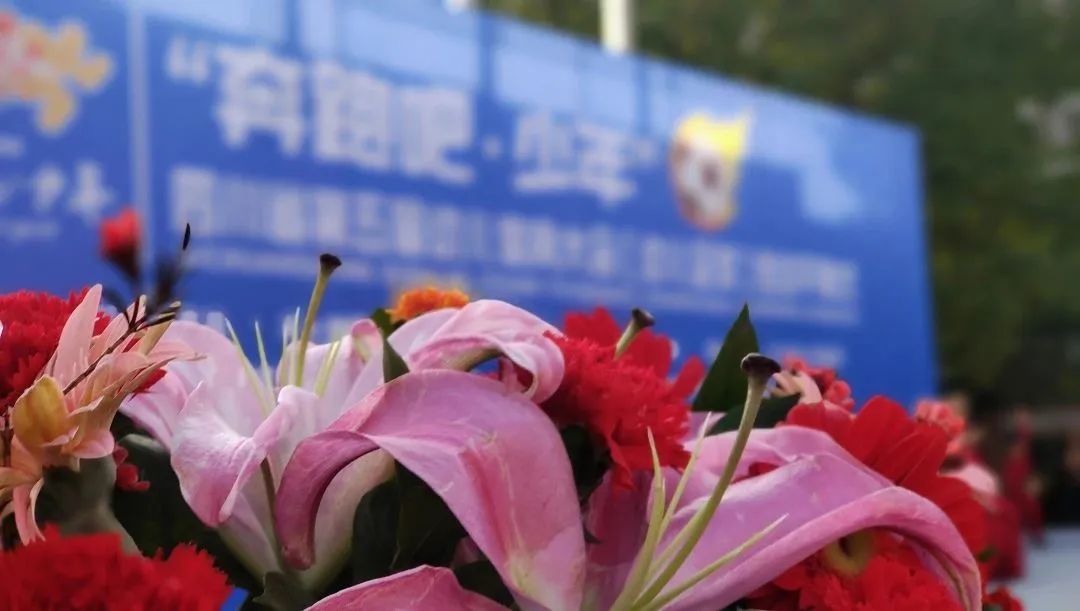 四川省幼儿足球,四川省第五届幼儿足球