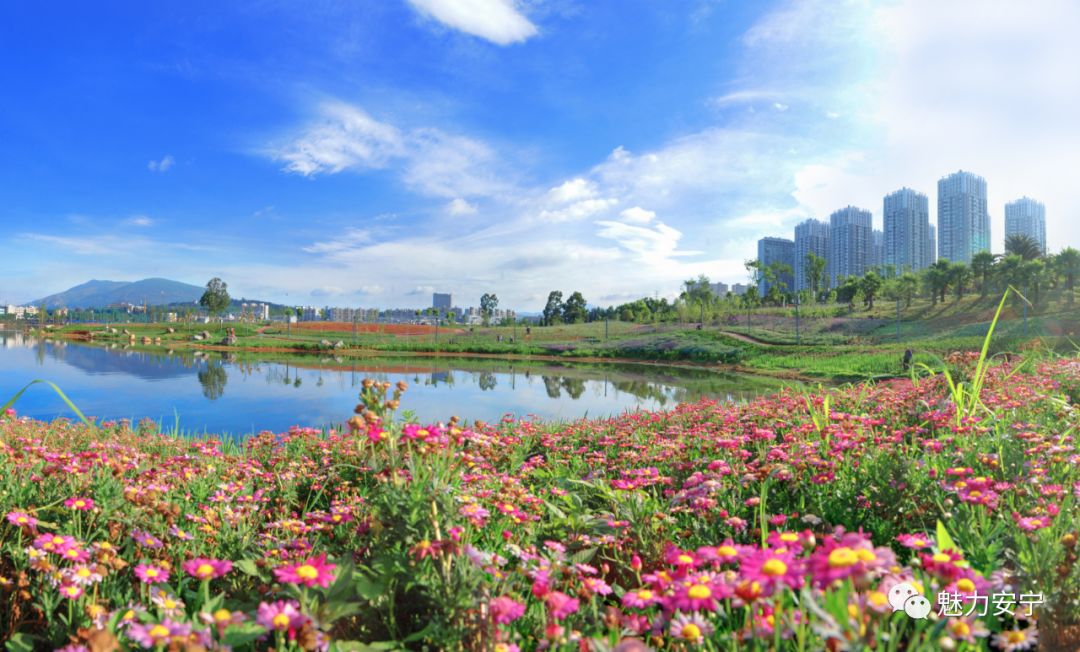 向往的生活安静淳朴无纷扰,向往的生活之世外桃源