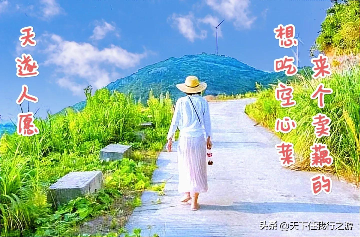 高情商的幽默歇后语台词,一语双关的幽默歇后语