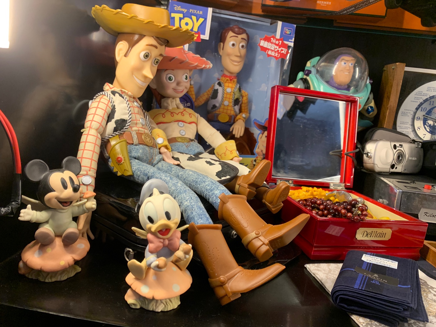 枝头上的孔雀幼鸟右侧双门