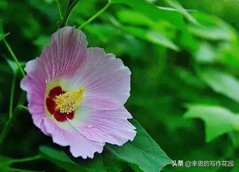 写文章结构思路,写文章的思路结构