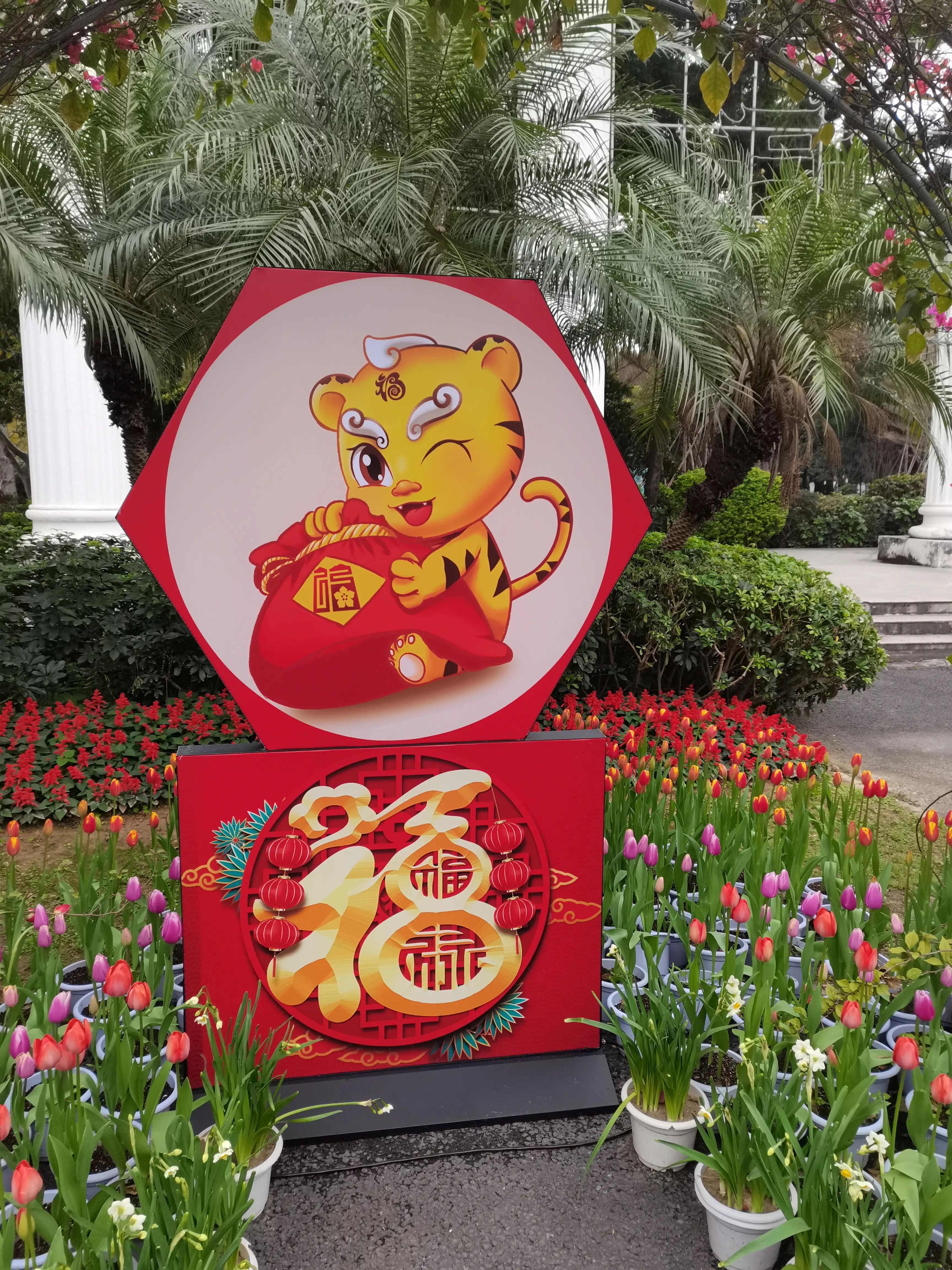 福州郁金香温泉公园,福州花海公园郁金香