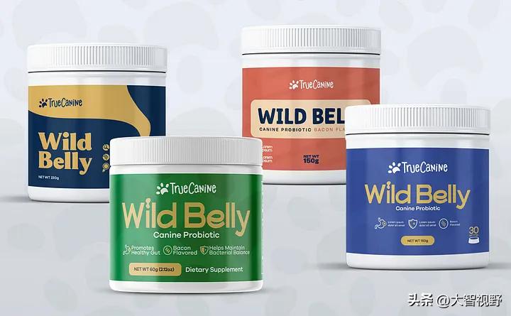 2023年在线平面设计,平面设计2024