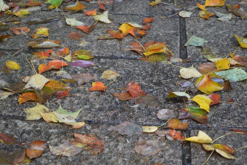一品黄山天高云淡香烟,一品黄山天高云淡广告原视频