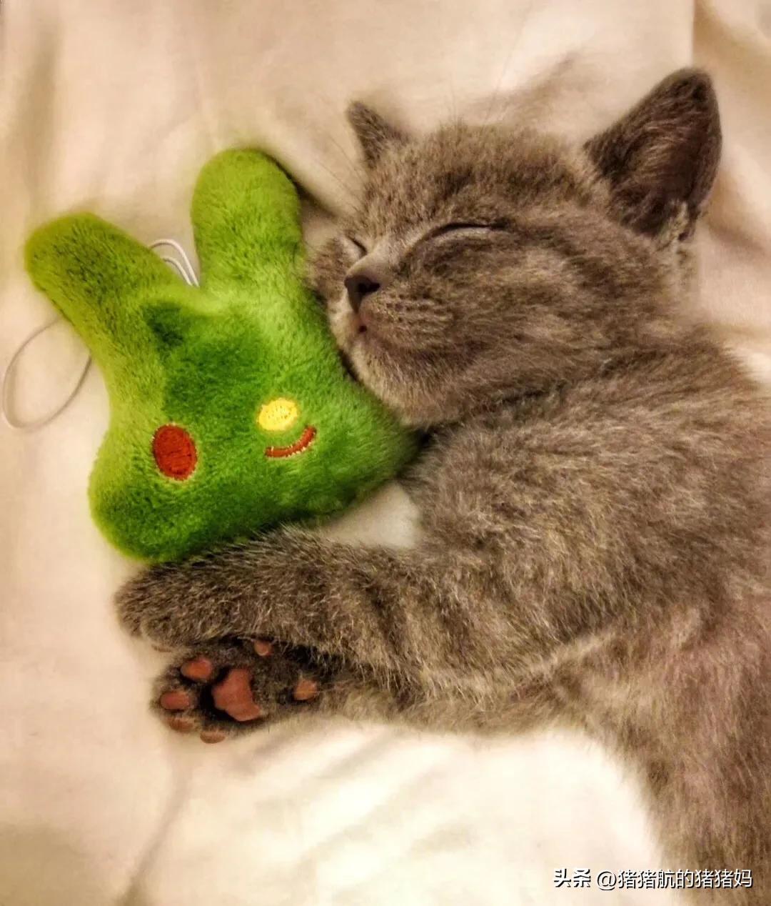 备产准备几个奶瓶,待产奶瓶准备哪些