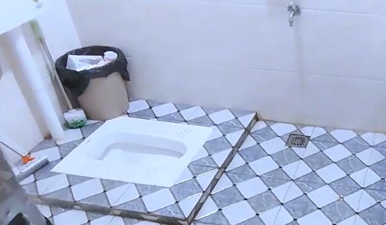 香皂能去除小飞虫吗,把香皂扔进马桶里