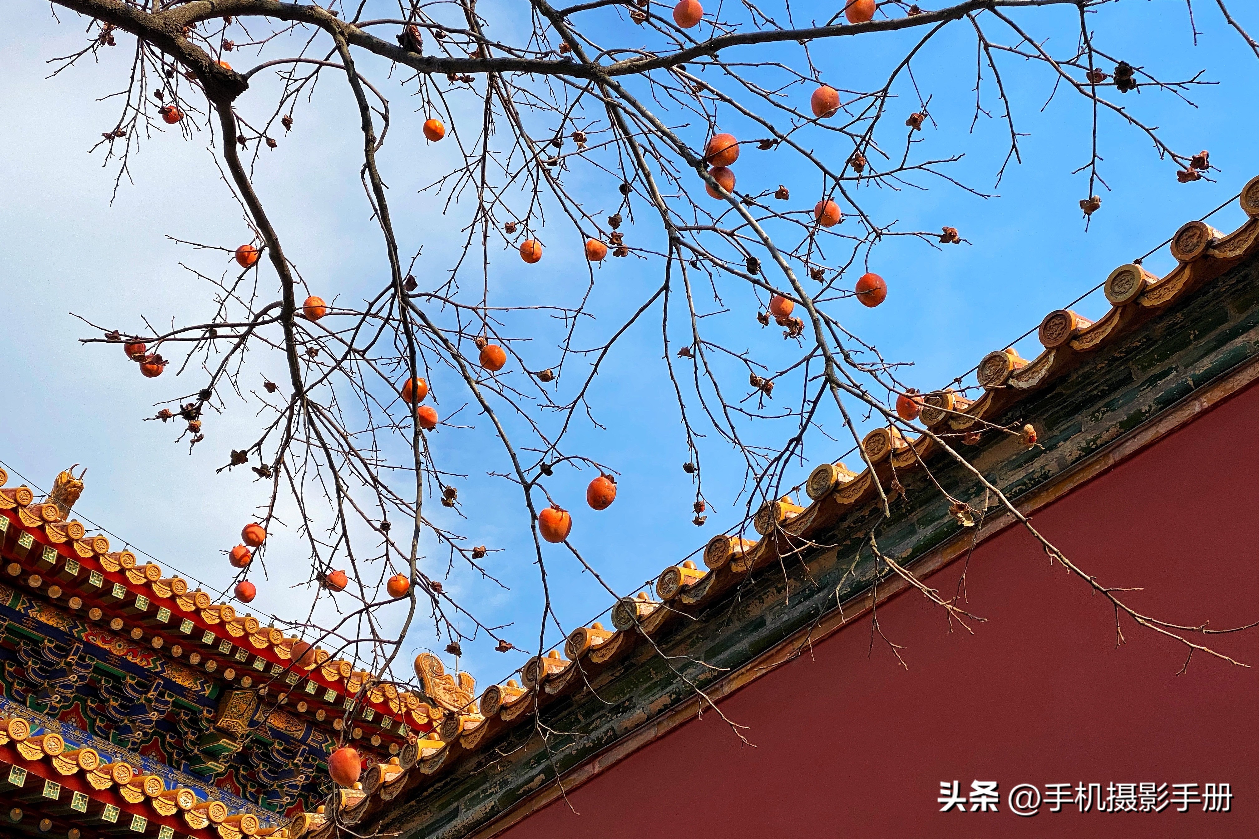 搞懂手机摄影这18个问题,不管拍照片还是视频,效果更专业(上)